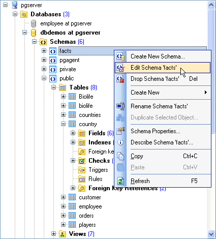 Database Explorer