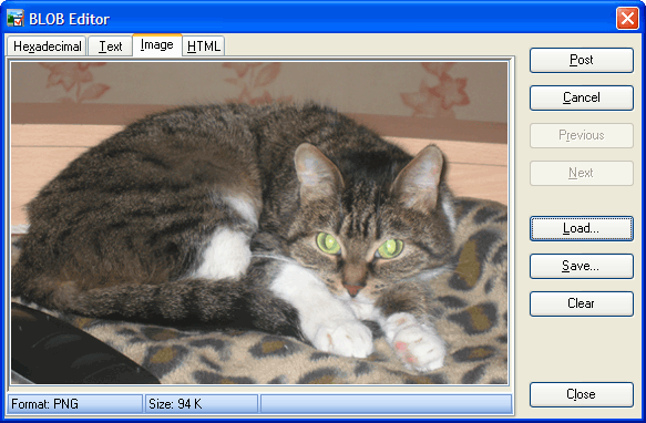 Blob Editor