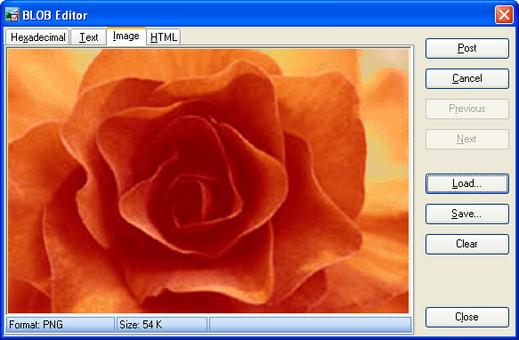 BLOB Viewer and Editor