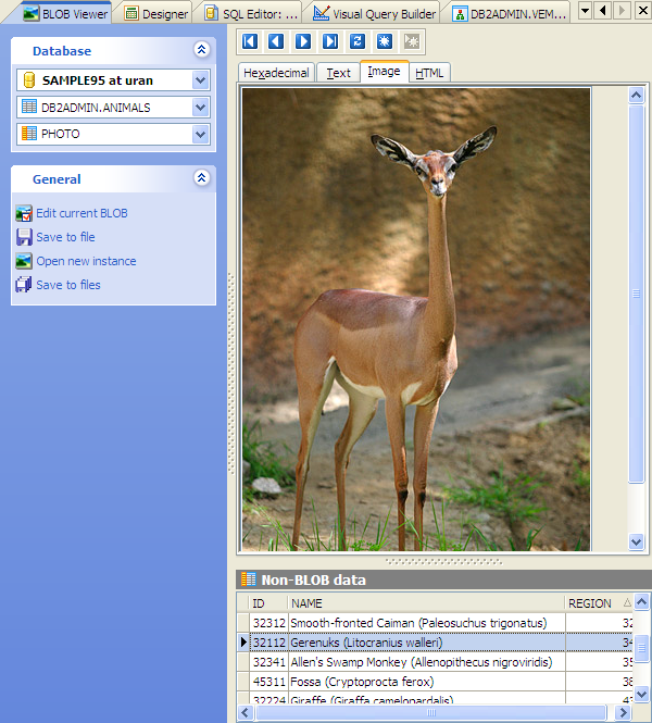 Image Viewer