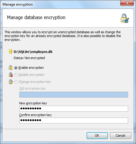 Encryption manager