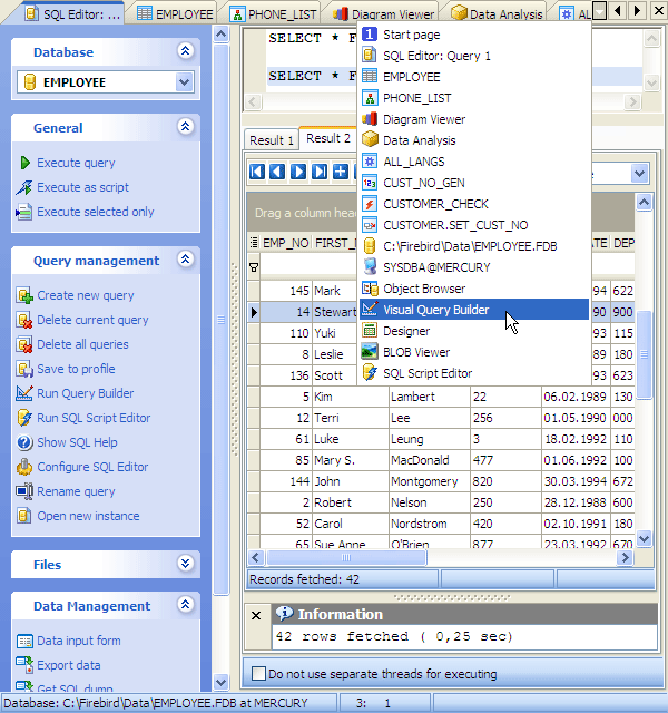Tabbed MDI Interface