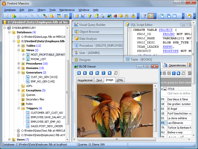 FireBird Maestro screenshot