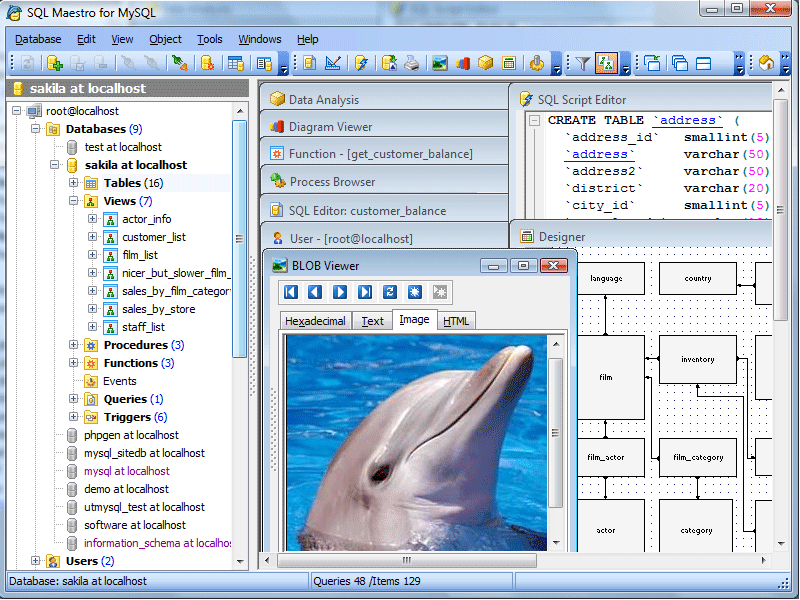 SQL Maestro for MySQL Screenshot