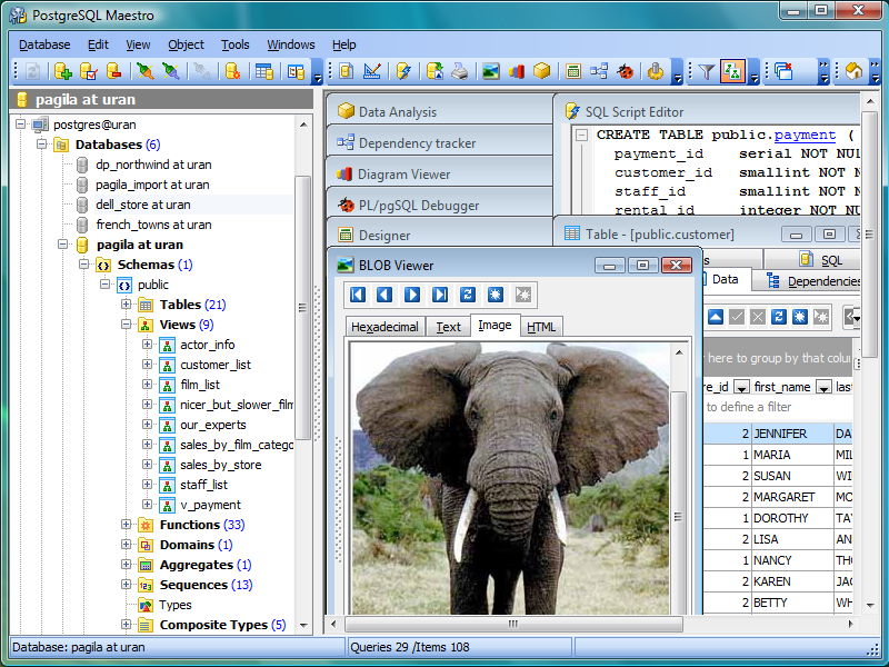 PostgreSQL Maestro screenshot