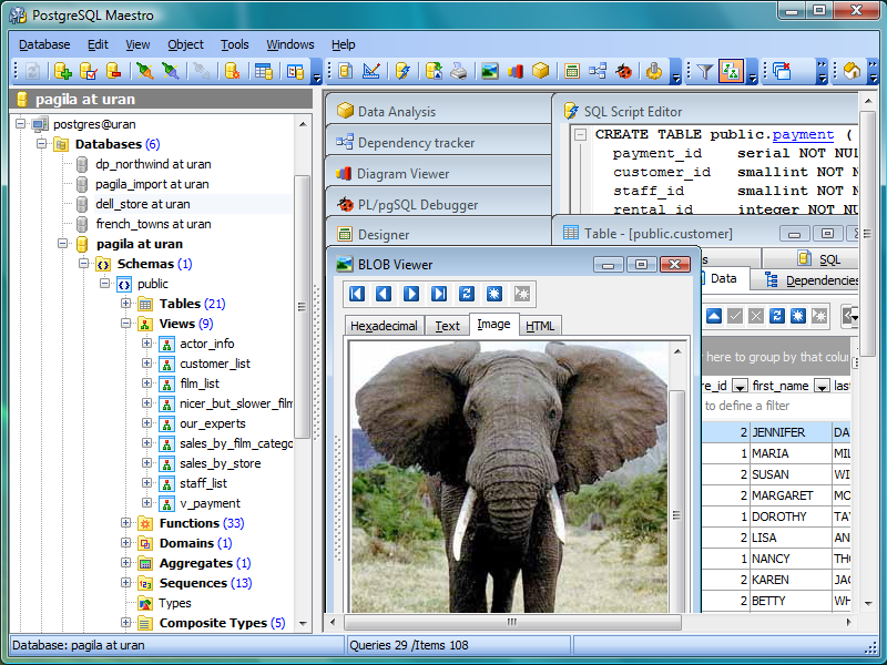 Windows 7 PostgreSQL Maestro 21.12 full