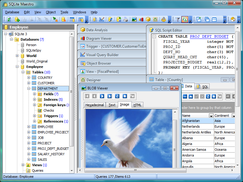 SQLite Maestro 21.5 full