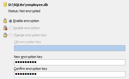 Encryption management window