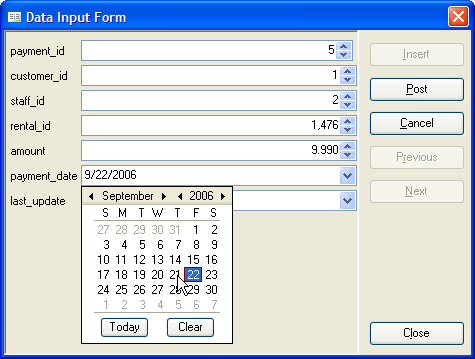 Data Input Form