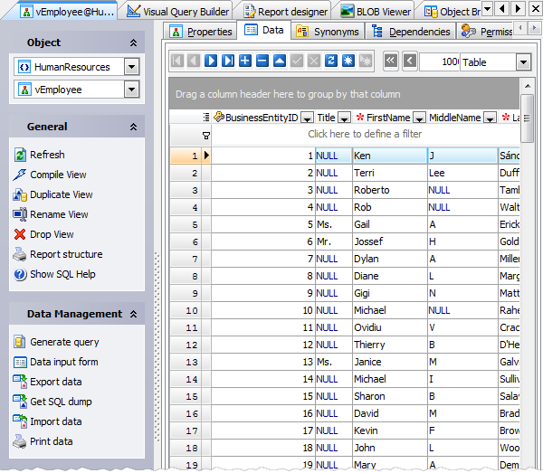 Editing Object Data