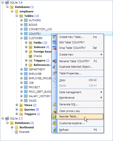 Database Explorer