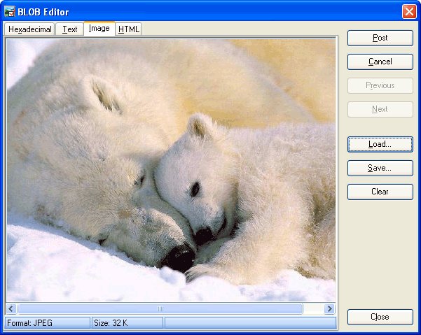 Blob Viewer and Editor