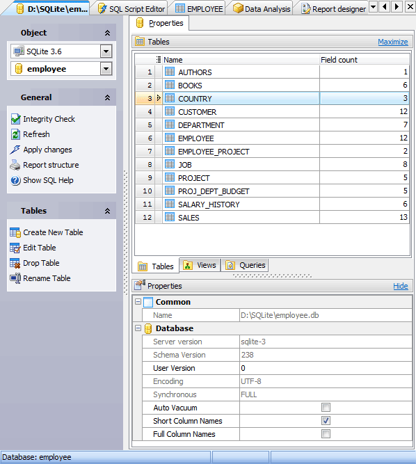 Tabbed MDI Interface