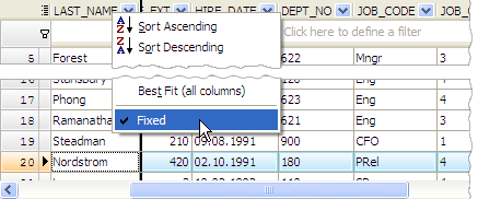 Data Grid: Fixed Columns