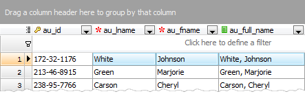 Computed columns in the Data Grids