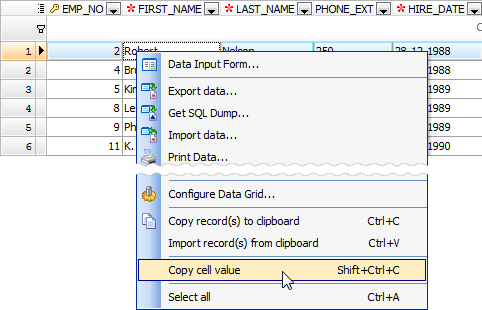 Data Grid: copy cell value