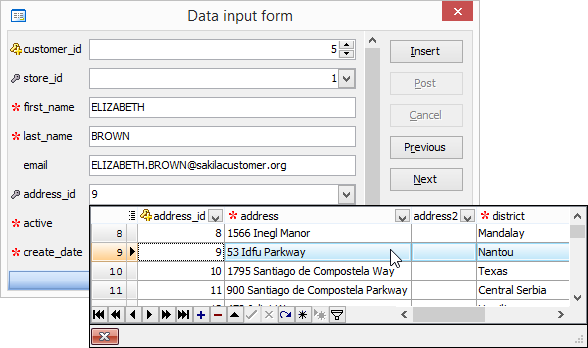 Data Input Form