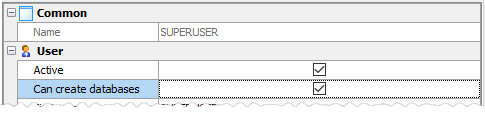 User editor: use can create databases