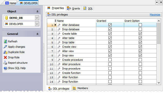 Role editor: DDL privileges