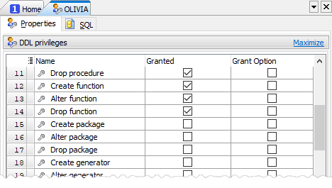 User's DDL privileges editor