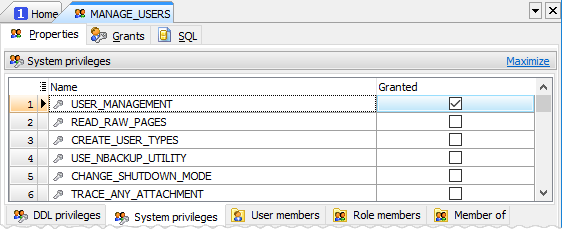 Managing system privileges