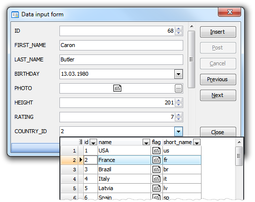 Data Input Form