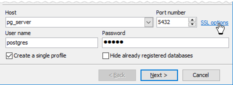 Create Database Profile Wizard: SSL options link