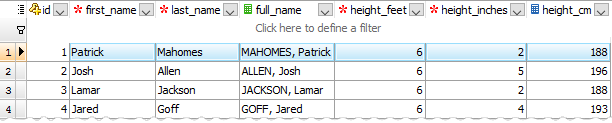 Generated columns in the Data Grids