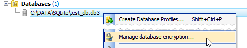 Manage database encryption command