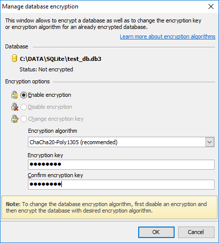 Manage database encryption window