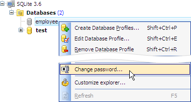 Database Explorer
