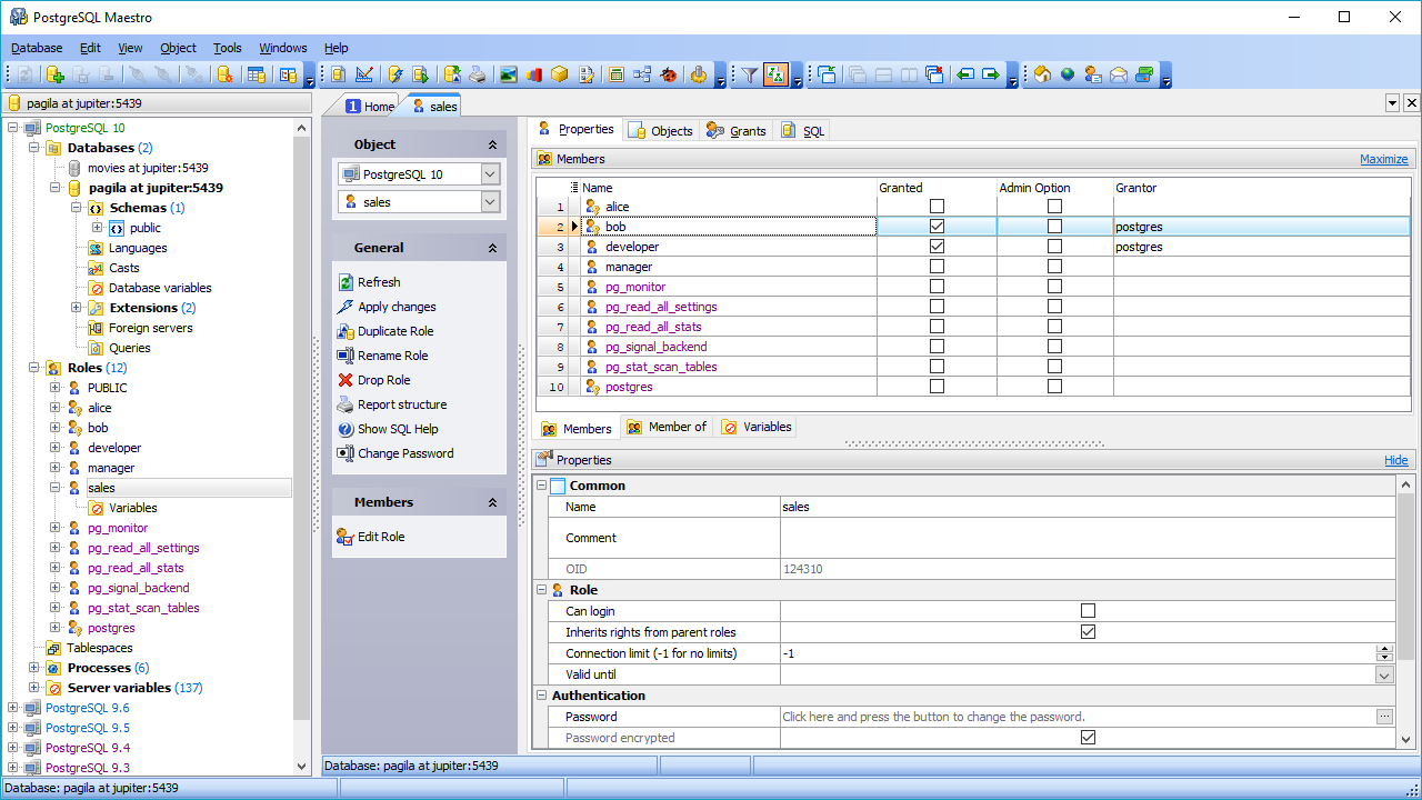 Postgresql monitoring tools windows